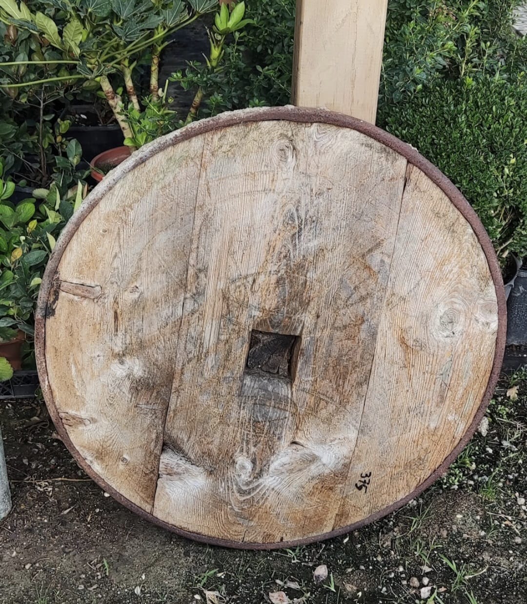 ESKİ KAĞNI ARABASI TEKERLEĞİ